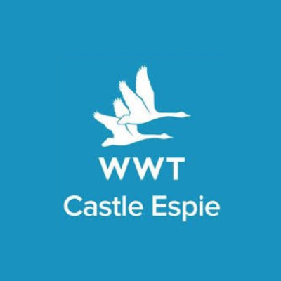 Castle Espie logo